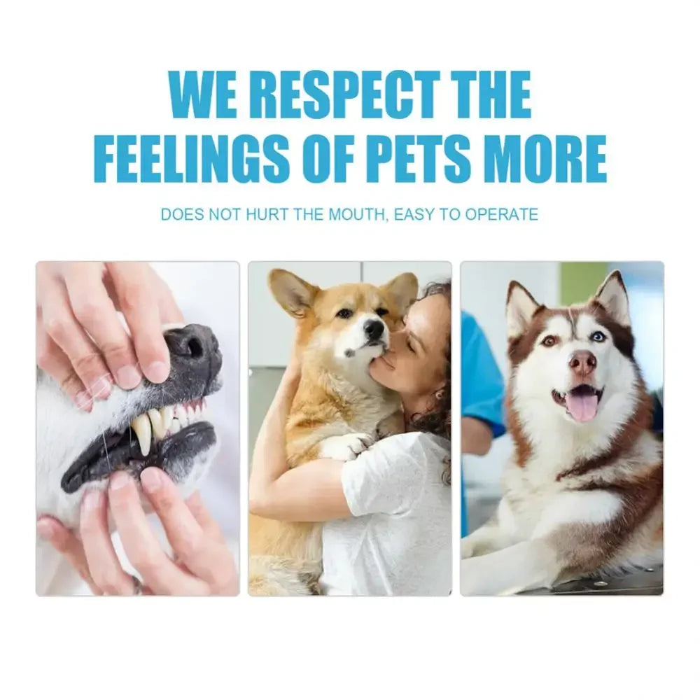 Pet Toothpaste for Dogs & Cats "Edible"
