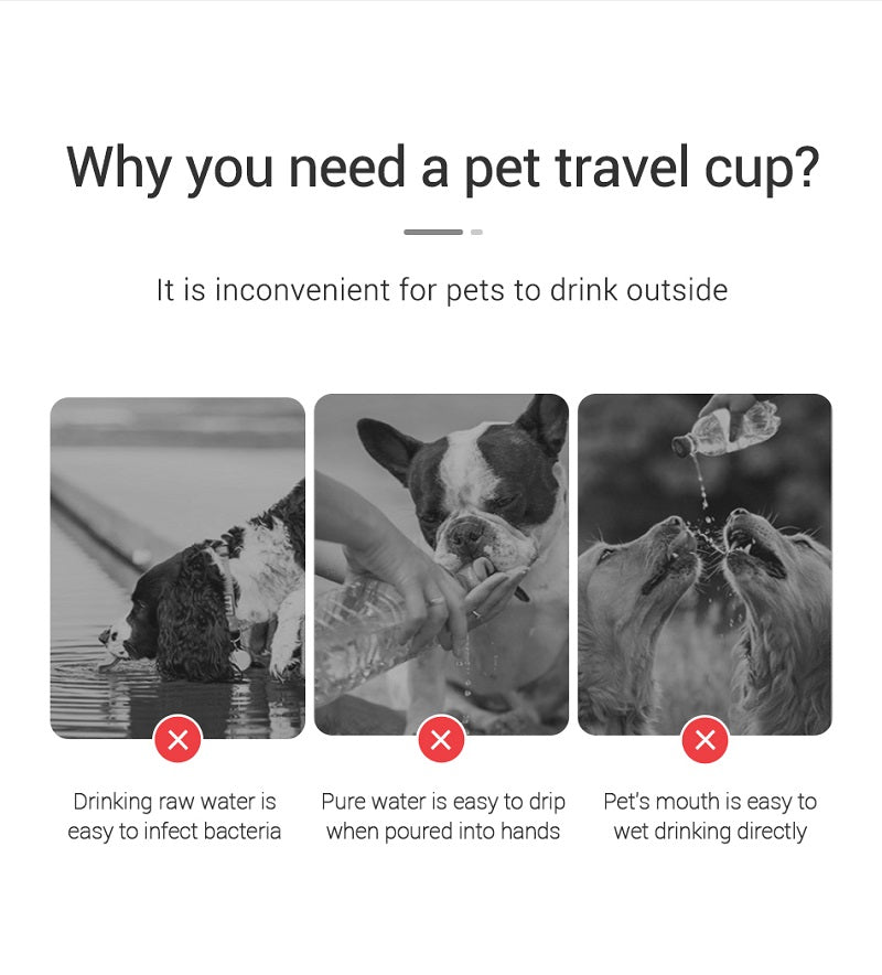Portable Dog Water Bottle  Dogs and Cat