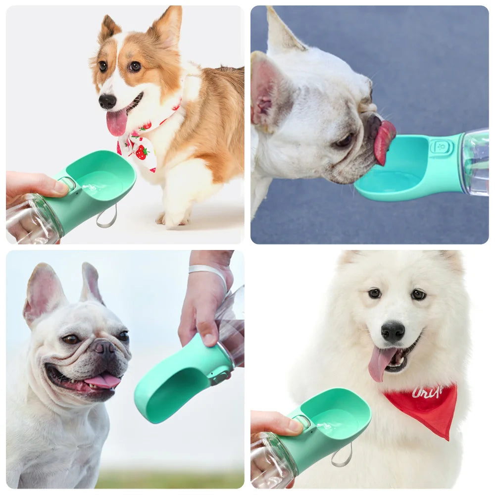 Portable Dog Water Bottle  Dogs and Cat