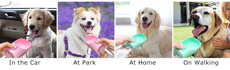 Portable Dog Water Bottle  Dogs and Cat