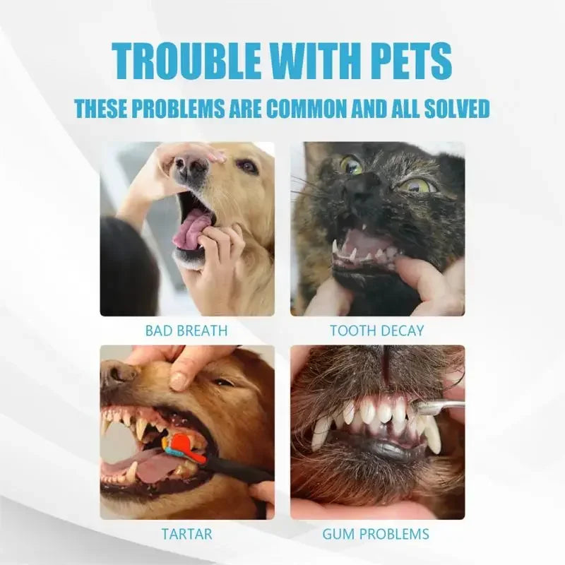 Pet Toothpaste for Dogs & Cats "Edible"