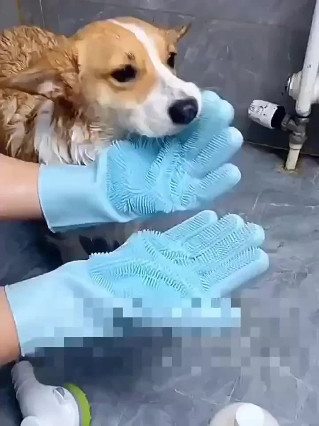 Pet Grooming Cleaning Gloves "Use While Bathing Your Pets"